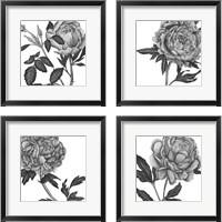 Framed Flowers in Grey 4 Piece Framed Art Print Set