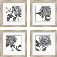 Framed 'Flowers in Grey 4 Piece Framed Art Print Set' border=