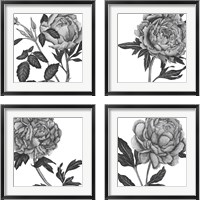 Framed Flowers in Grey 4 Piece Framed Art Print Set