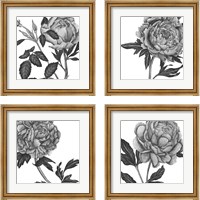 Framed 'Flowers in Grey 4 Piece Framed Art Print Set' border=