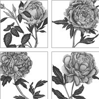 Framed 'Flowers in Grey 4 Piece Art Print Set' border=