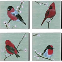 Framed 'Bird & Blossoms 4 Piece Canvas Print Set' border=