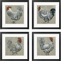 Framed Roost  4 Piece Framed Art Print Set