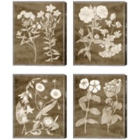Framed 'Botanical in Taupe 4 Piece Canvas Print Set' border=