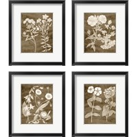 Framed Botanical in Taupe 4 Piece Framed Art Print Set