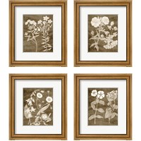 Framed 'Botanical in Taupe 4 Piece Framed Art Print Set' border=