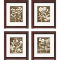 Framed 'Botanical in Taupe 4 Piece Framed Art Print Set' border=