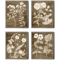 Framed 'Botanical in Taupe 4 Piece Canvas Print Set' border=