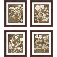 Framed 'Botanical in Taupe 4 Piece Framed Art Print Set' border=