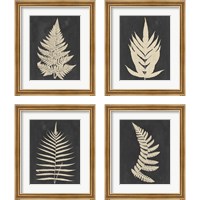 Framed Linen Fern 4 Piece Framed Art Print Set