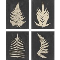 Framed 'Linen Fern 4 Piece Art Print Set' border=