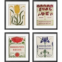 Framed 'Flower Seed Packs 4 Piece Framed Art Print Set' border=