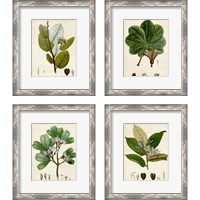 Framed Verdant Foliage 4 Piece Framed Art Print Set