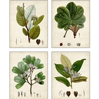 Framed Verdant Foliage 4 Piece Art Print Set