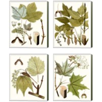 Framed 'Maple Leaves 4 Piece Canvas Print Set' border=