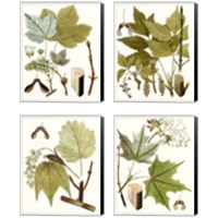 Framed 'Maple Leaves 4 Piece Canvas Print Set' border=