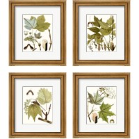 Framed 'Maple Leaves 4 Piece Framed Art Print Set' border=