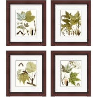 Framed 'Maple Leaves 4 Piece Framed Art Print Set' border=