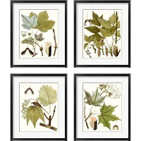 Framed 'Maple Leaves 4 Piece Framed Art Print Set' border=