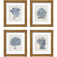 Framed 'Sea Coral Study 4 Piece Framed Art Print Set' border=