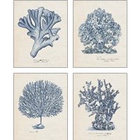 Framed 'Sea Coral Study 4 Piece Art Print Set' border=