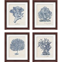 Framed 'Sea Coral Study 4 Piece Framed Art Print Set' border=