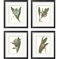 Framed 'Orchid Display 4 Piece Framed Art Print Set' border=