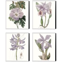 Framed Lavender Beauties 4 Piece Canvas Print Set