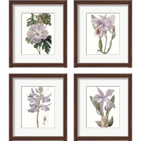 Framed Lavender Beauties 4 Piece Framed Art Print Set