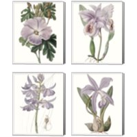 Framed 'Lavender Beauties 4 Piece Canvas Print Set' border=