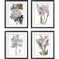 Framed 'Lavender Beauties 4 Piece Framed Art Print Set' border=