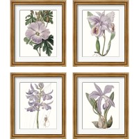Framed 'Lavender Beauties 4 Piece Framed Art Print Set' border=