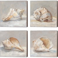Framed 'Impressionist Shell Study 4 Piece Canvas Print Set' border=