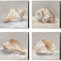 Framed 'Impressionist Shell Study 4 Piece Canvas Print Set' border=