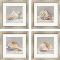 Framed Impressionist Shell Study 4 Piece Framed Art Print Set