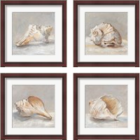 Framed 'Impressionist Shell Study 4 Piece Framed Art Print Set' border=