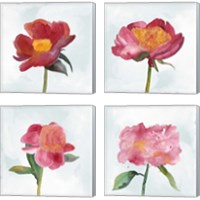 Framed 'Joyful Peony 4 Piece Canvas Print Set' border=