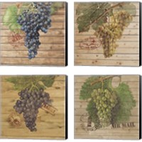 Framed 'Grape Crate 4 Piece Canvas Print Set' border=