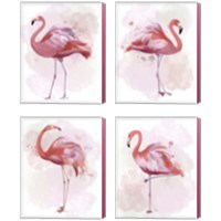 Framed 'Fluffy Flamingo 4 Piece Canvas Print Set' border=