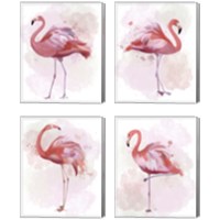 Framed 'Fluffy Flamingo 4 Piece Canvas Print Set' border=