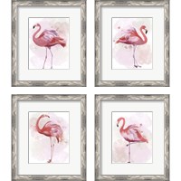 Framed 'Fluffy Flamingo 4 Piece Framed Art Print Set' border=