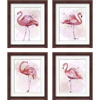 Framed Fluffy Flamingo 4 Piece Framed Art Print Set