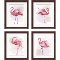 Framed Fluffy Flamingo 4 Piece Framed Art Print Set