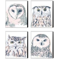 Framed Funky Owl Portrait 4 Piece Canvas Print Set
