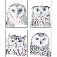 Framed Funky Owl Portrait 4 Piece Art Print Set