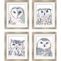 Framed 'Funky Owl Portrait 4 Piece Framed Art Print Set' border=