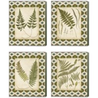 Framed 'Moroccan Ferns  4 Piece Canvas Print Set' border=