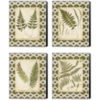 Framed Moroccan Ferns  4 Piece Canvas Print Set
