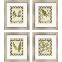 Framed 'Moroccan Ferns  4 Piece Framed Art Print Set' border=