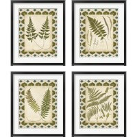 Framed Moroccan Ferns  4 Piece Framed Art Print Set